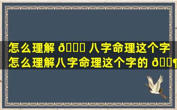 怎么理解 🐒 八字命理这个字「怎么理解八字命理这个字的 🐶 意思」